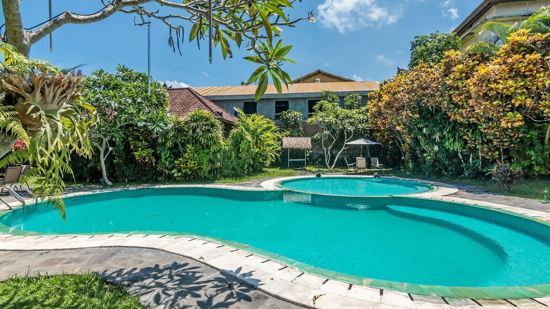 Zen Rooms Rice Field Ubud 3*, Ουμπούντ Ινδονησία